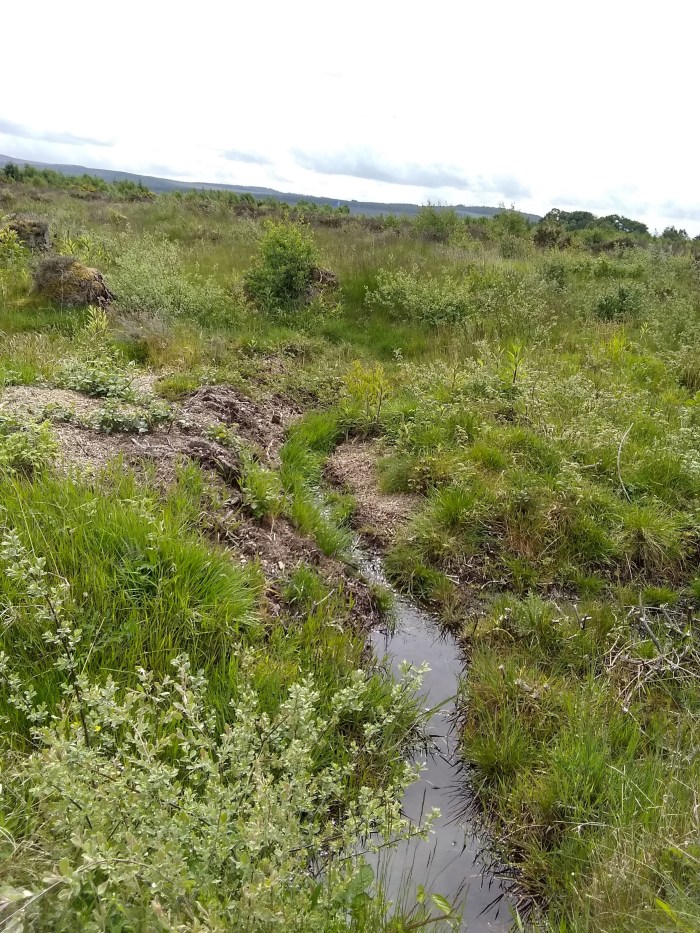 img_20190601_064049140_hdr