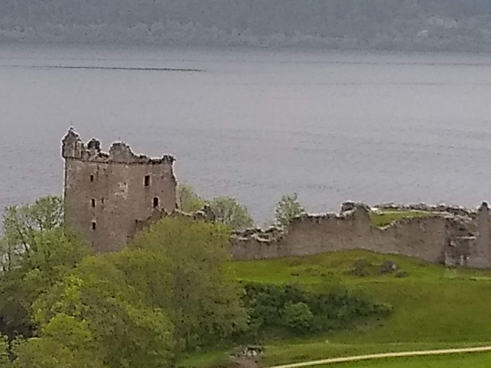 img_20190602_031356885