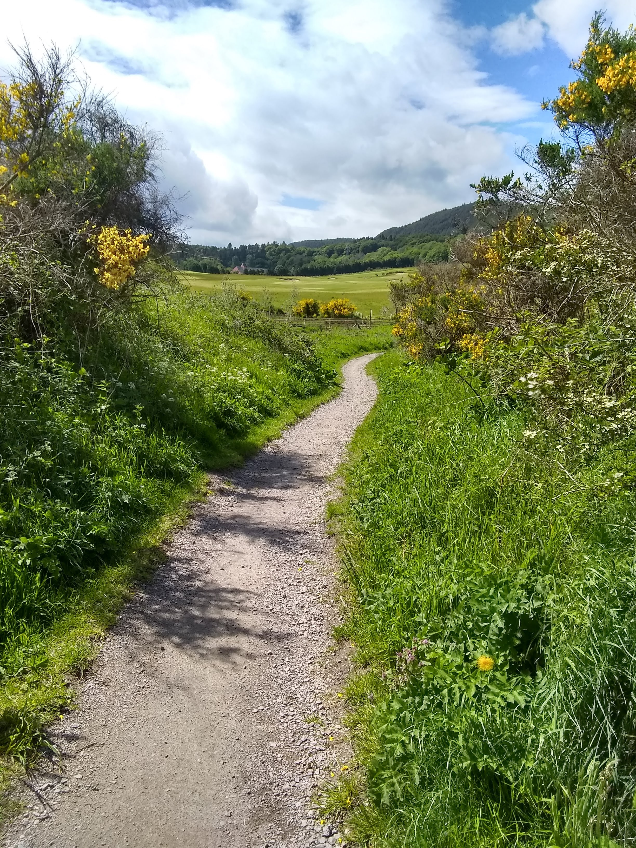 img_20190603_065148627_hdr